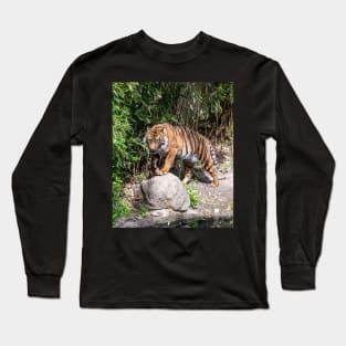 Tiger standing by the pond Long Sleeve T-Shirt